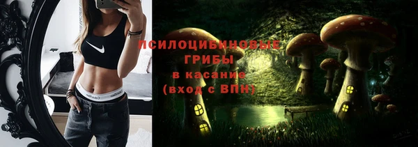 mix Белокуриха