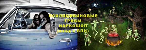 mix Белокуриха