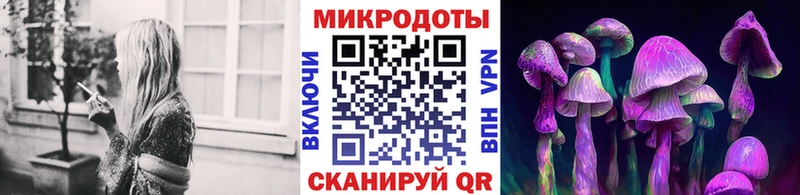 это состав  Сковородино  mega зеркало  Псилоцибиновые грибы Psilocybe  наркошоп 